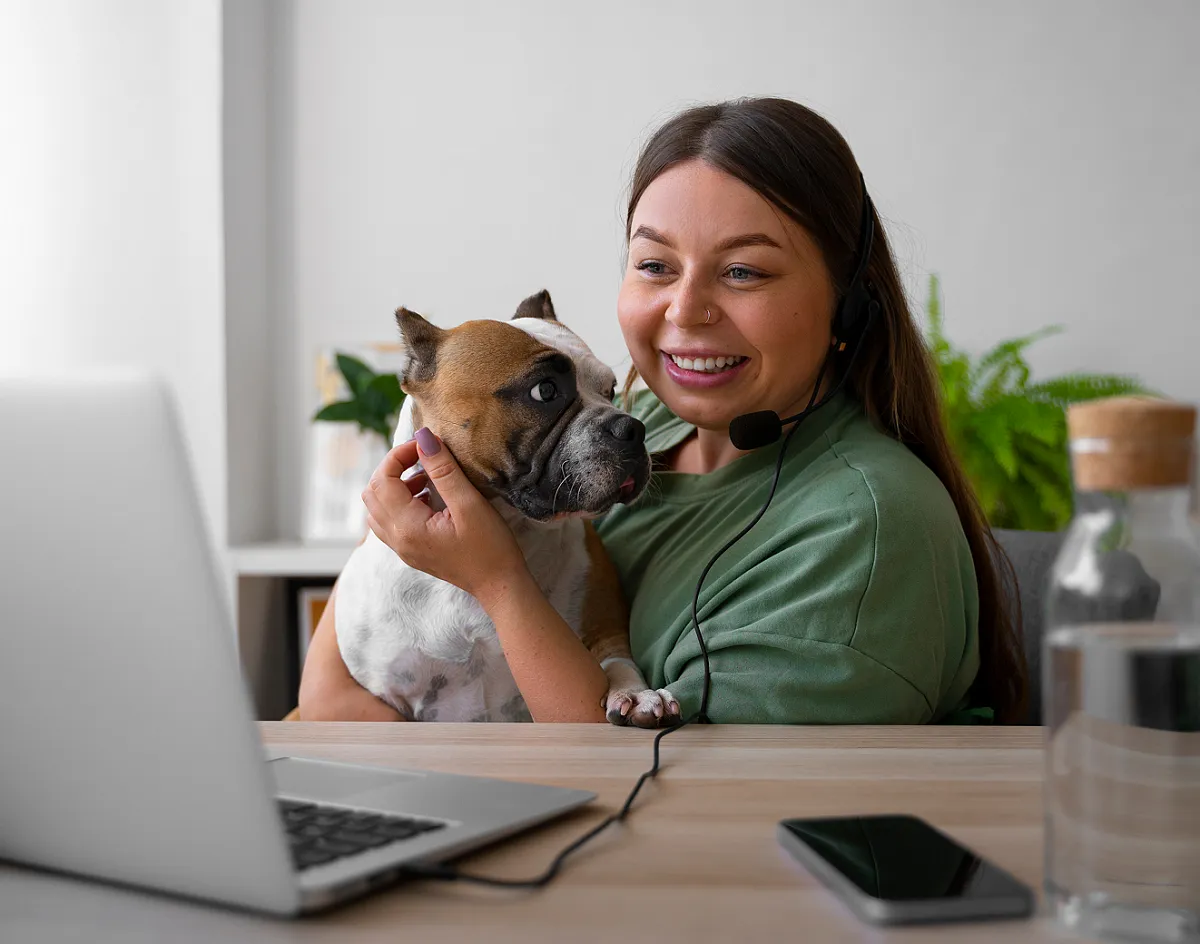 Картинка SEO блока