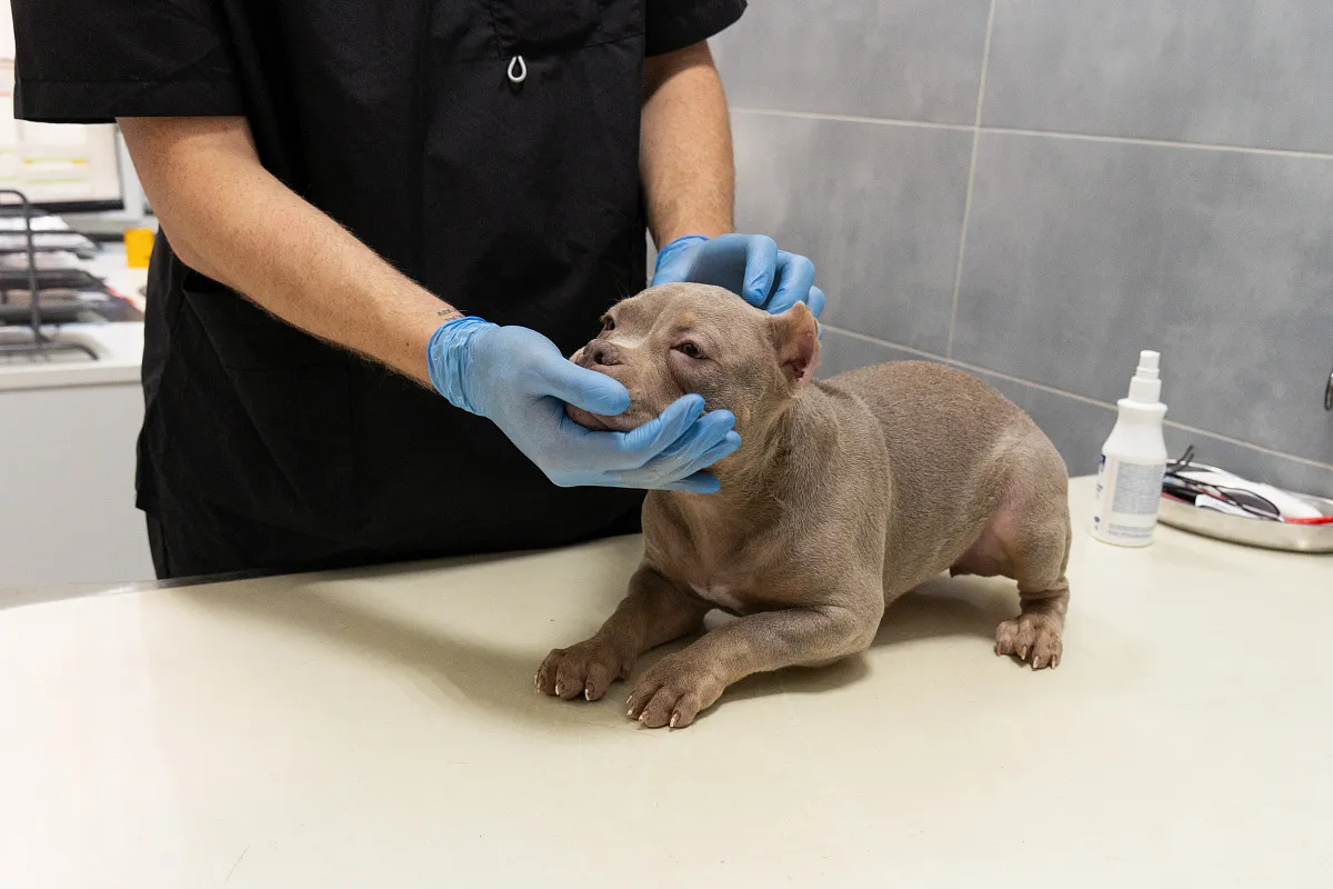 Как проходит приём?