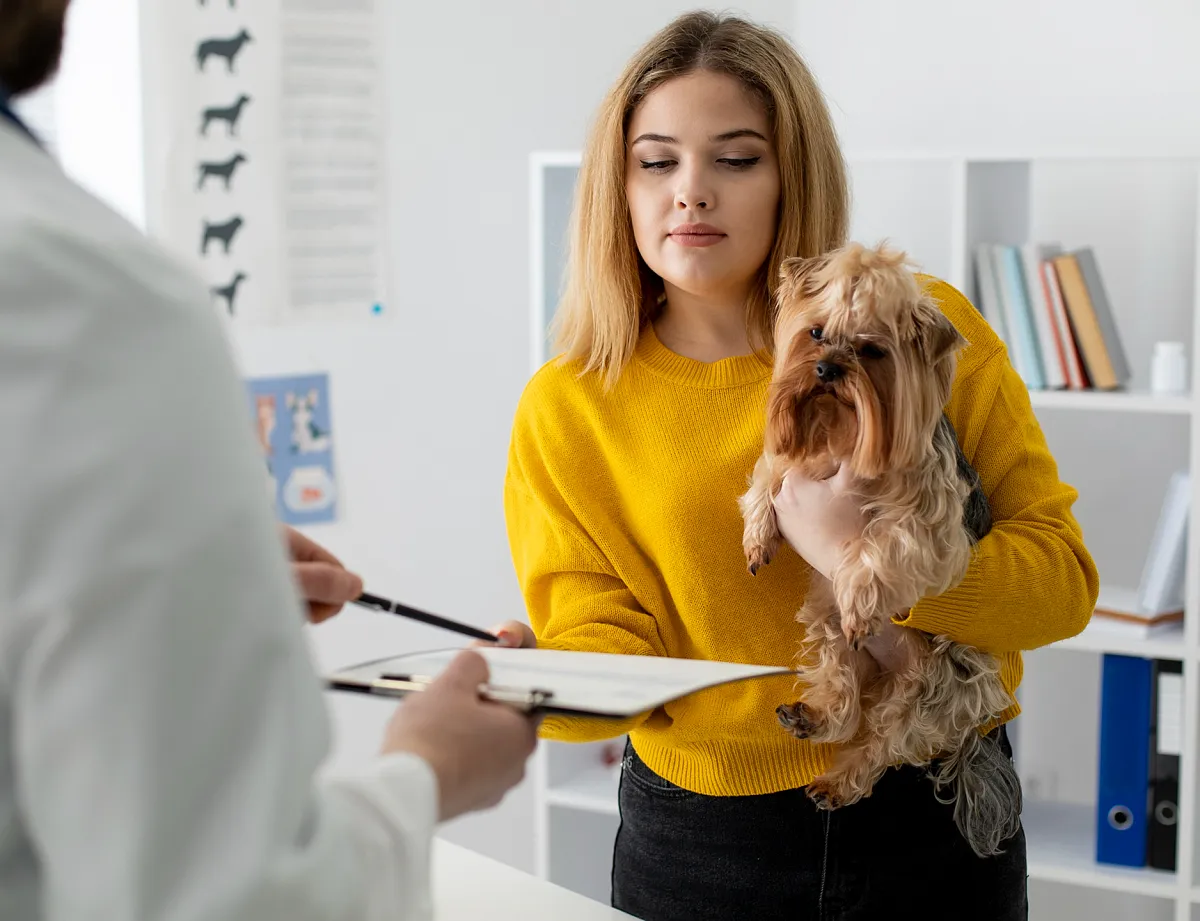 Приём ветеринара-терапевта