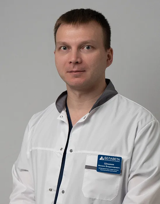 Шишкин Михаил Владимирович