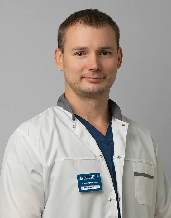 Замахов Антон Сергеевич