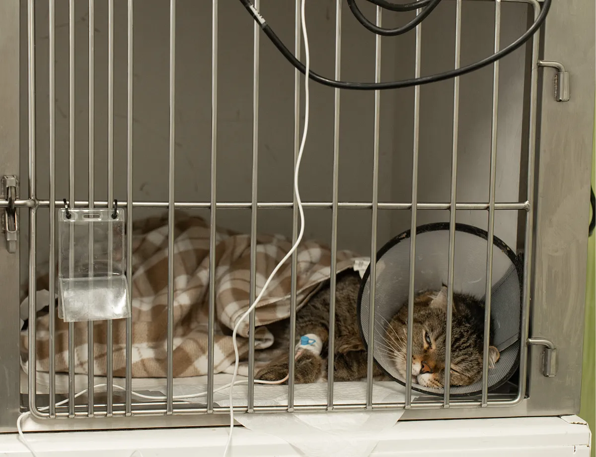 Картинка SEO блока